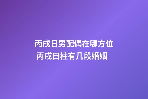 丙戌日男配偶在哪方位 丙戌日柱有几段婚姻-第1张-观点-玄机派